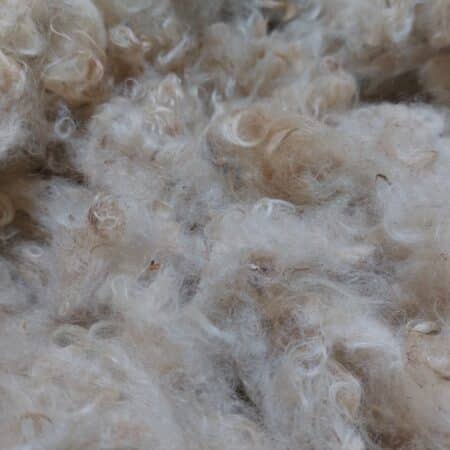 Mohair brut