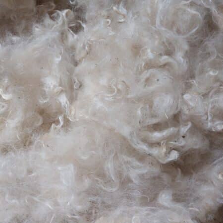 Mohair Lavé